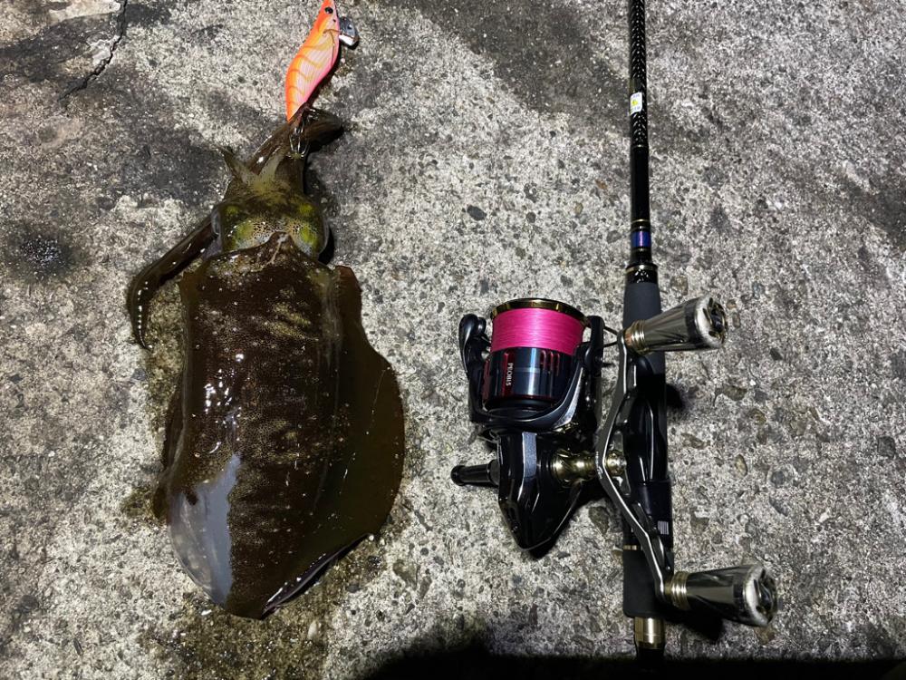 夜練ーエギング