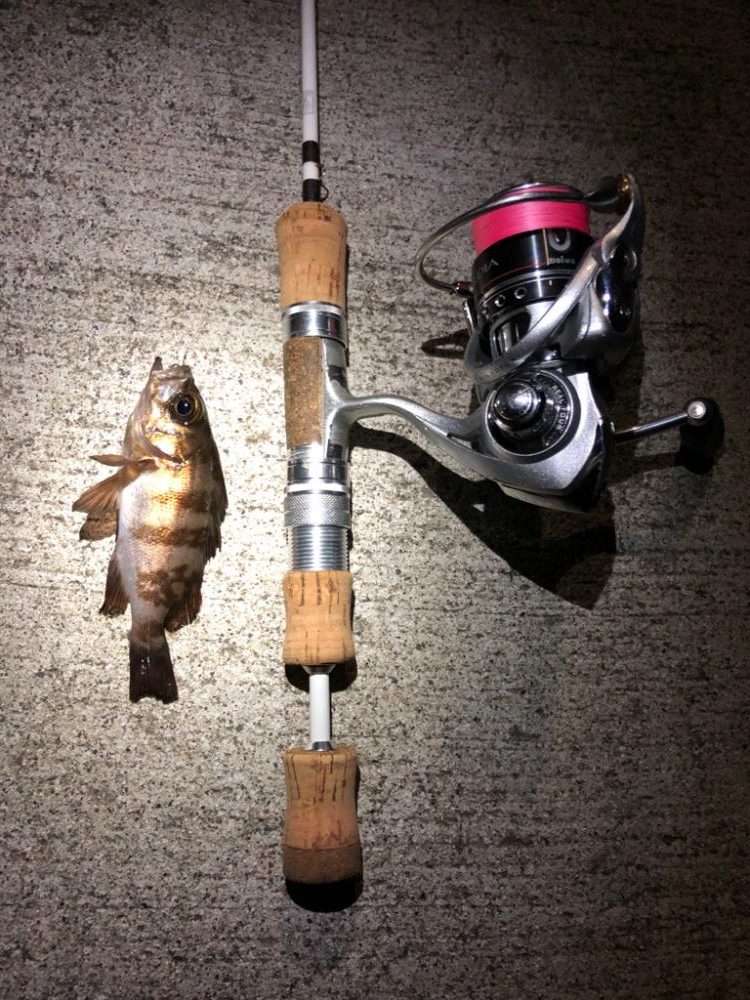 仙台付近の調査♪