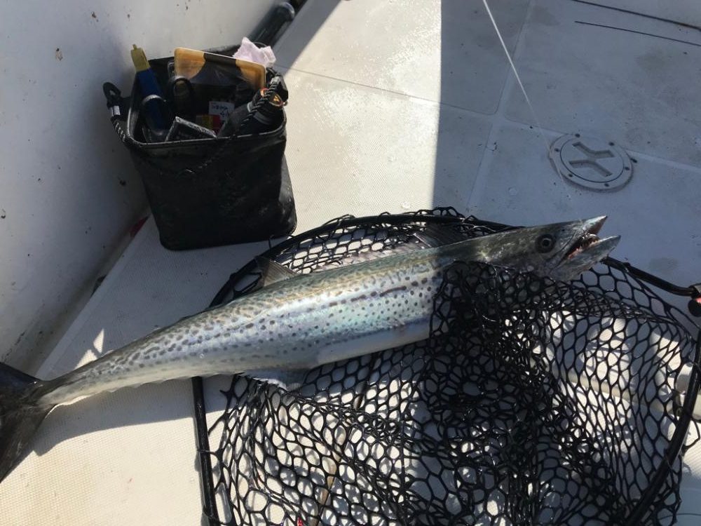 やっぱり海は玉手箱やー