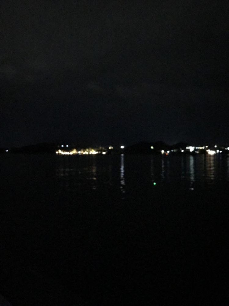 太刀魚はまだか…