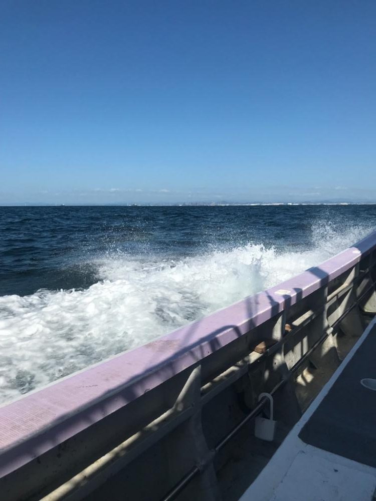 淡路島のティップラン