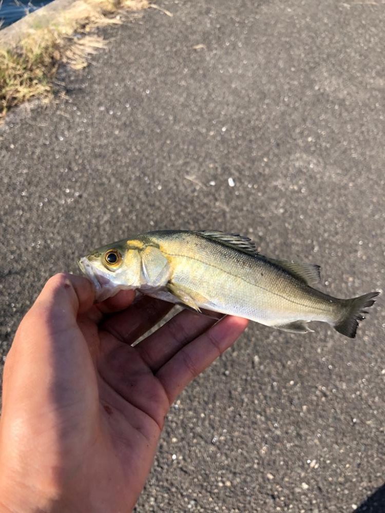 久々の名古屋港