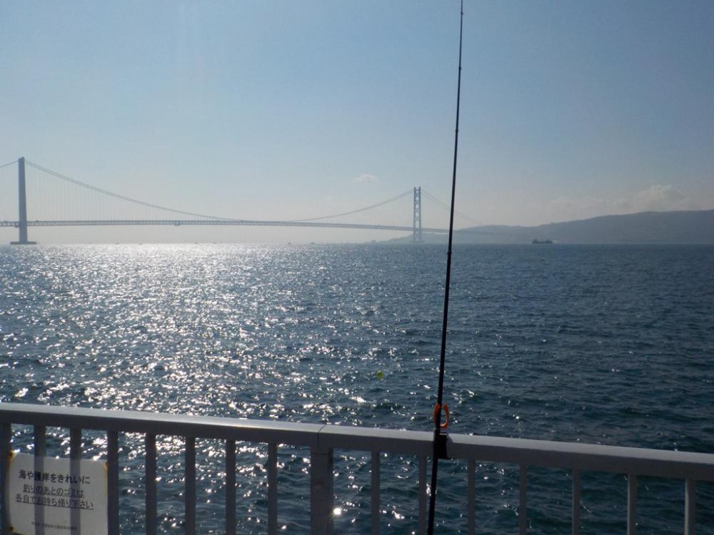 フカセ第1戦〜大蔵海岸〜