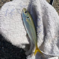 久しぶりの紀北