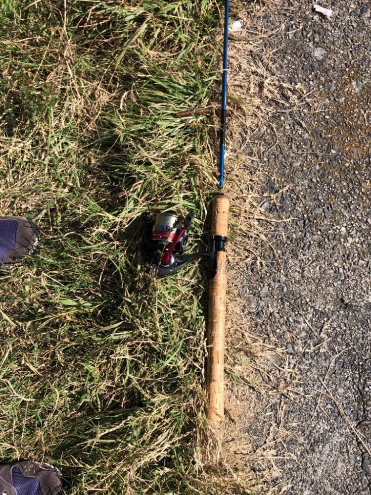 小バスしか釣れない