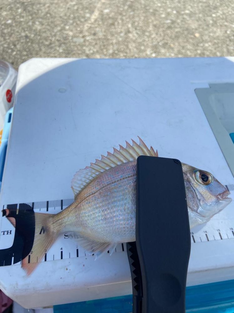 ちょい投げシロギスタのちょいツーリングDAY