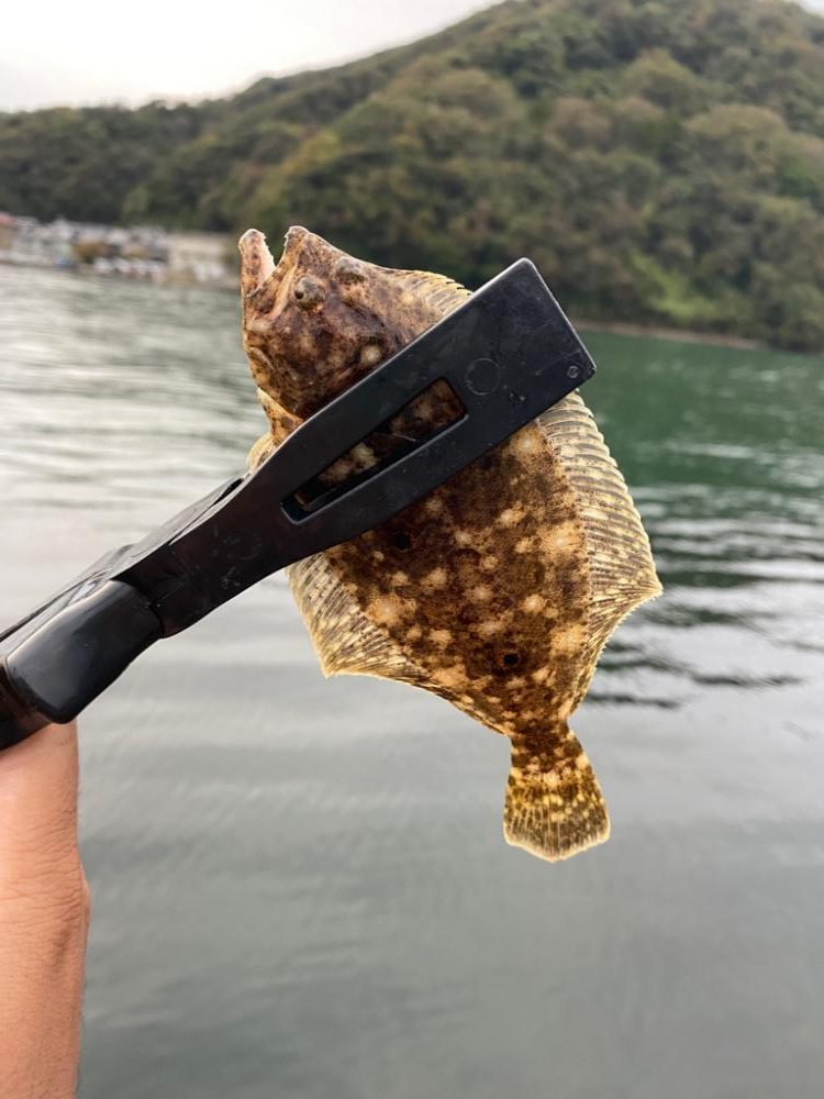 1日堤防釣行　エサ検証企画