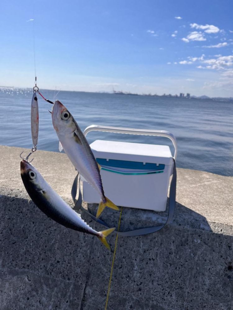 ブレードジグ超高速巻き