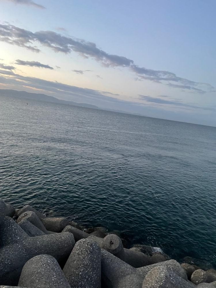 エギング、ショアジギング