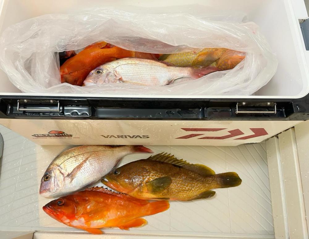 根魚パラダイス