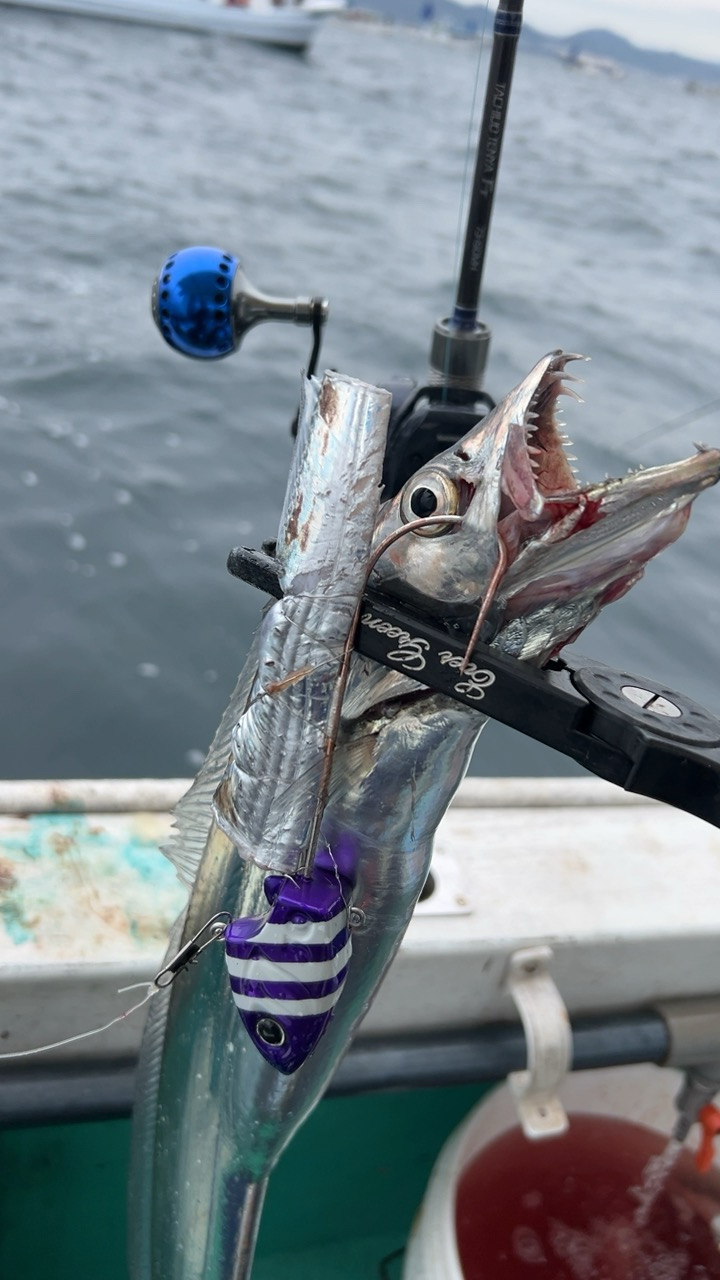 初めての船タチウオ