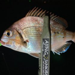 ポイントへGO！アジ・タチウオ調査！