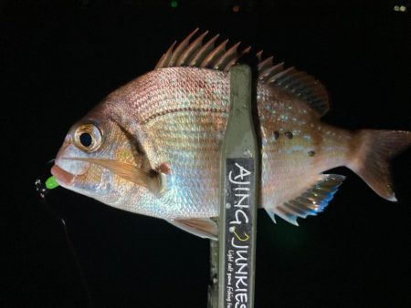 ポイントへGO！アジ・タチウオ調査！