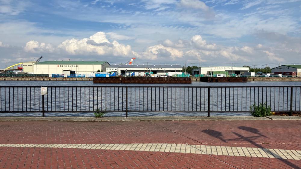 サバ、アジがたくさん良い釣り場