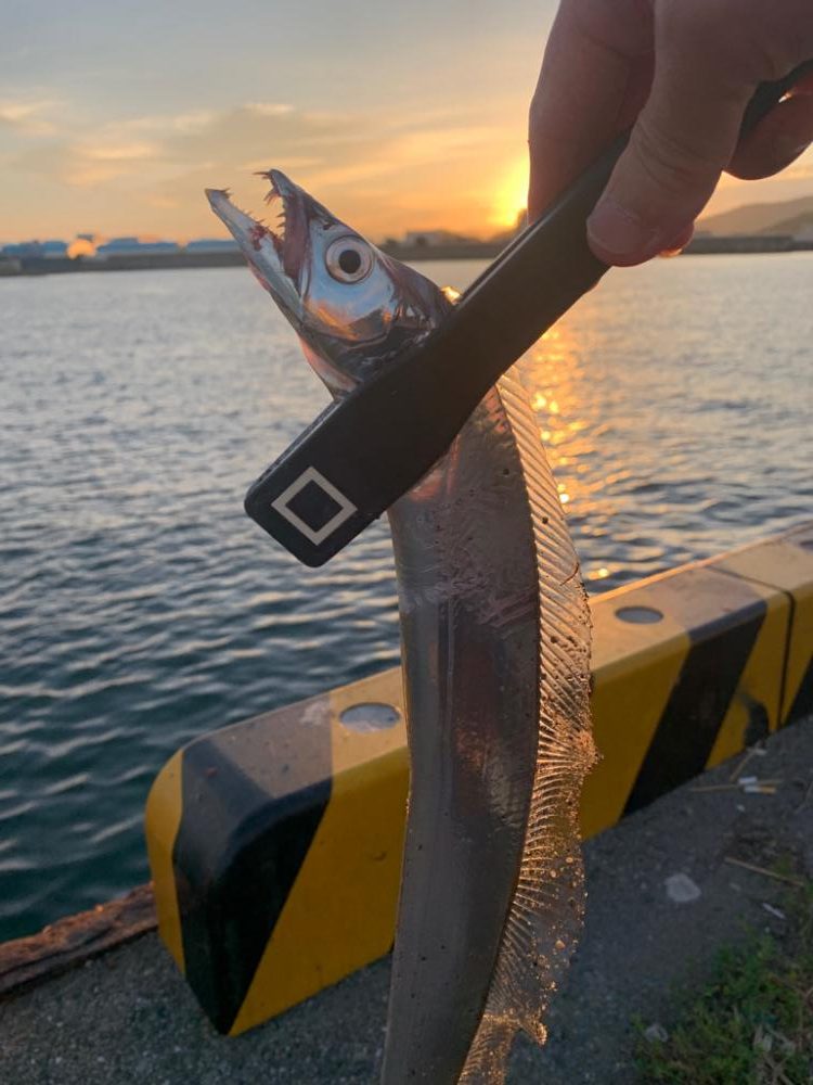 時合に限ってライントラブルします⤵︎