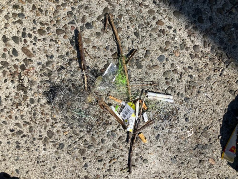 高活性太刀魚君