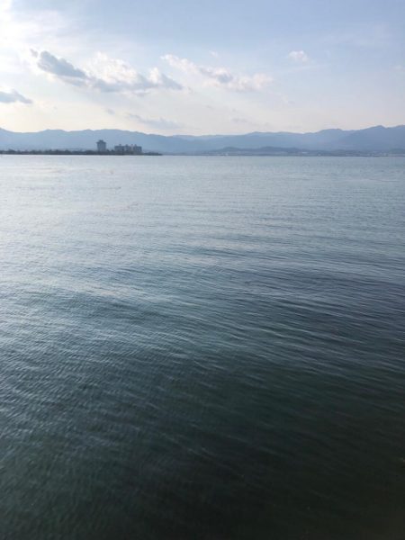 チビバスは元気