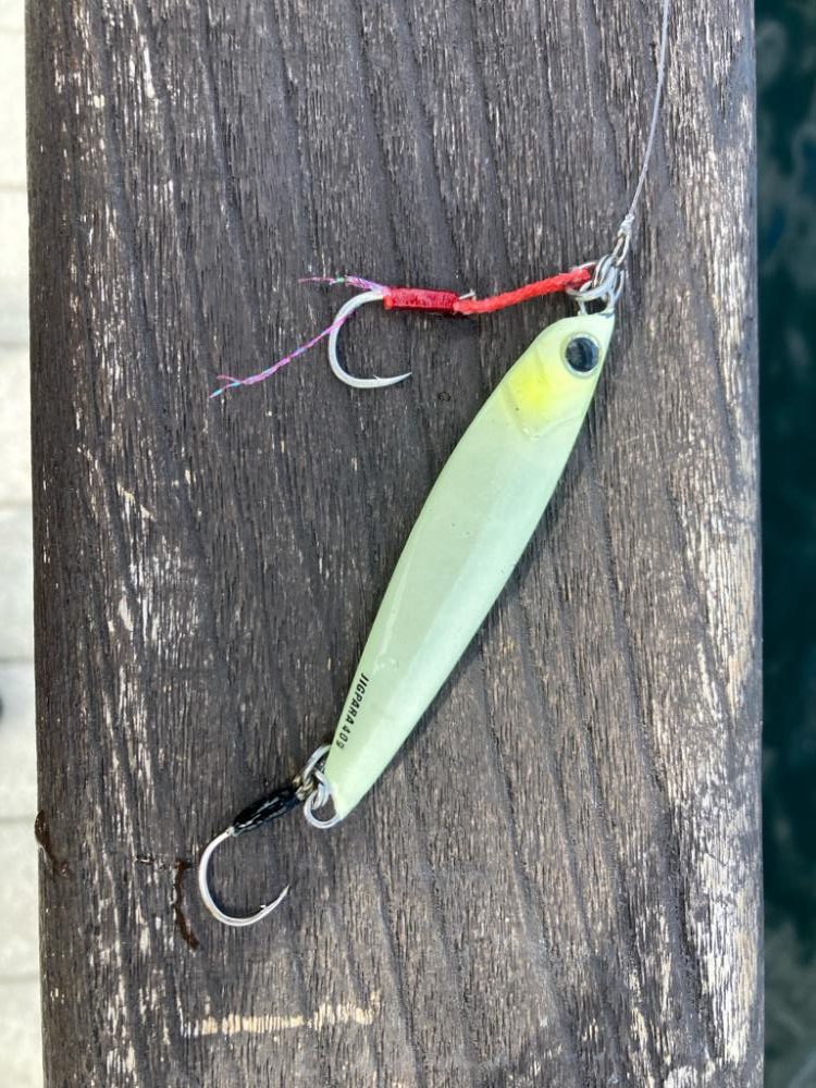 久しぶり湾奥コスモ激混み。何とか1本。。