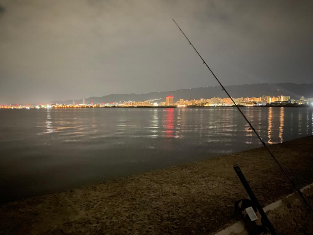 サゴシ祭りは何処へ、、、