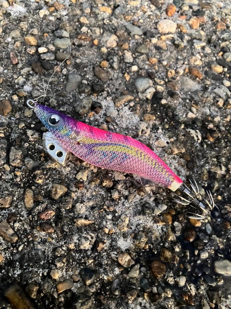 時合いは一瞬σ(^_^;)