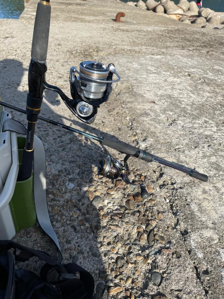 秋イカ終盤いいサイズ