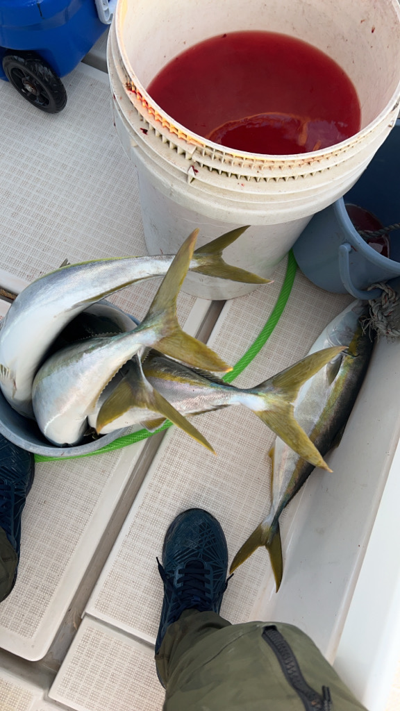 ハマチろうそく&サワラカッター多め