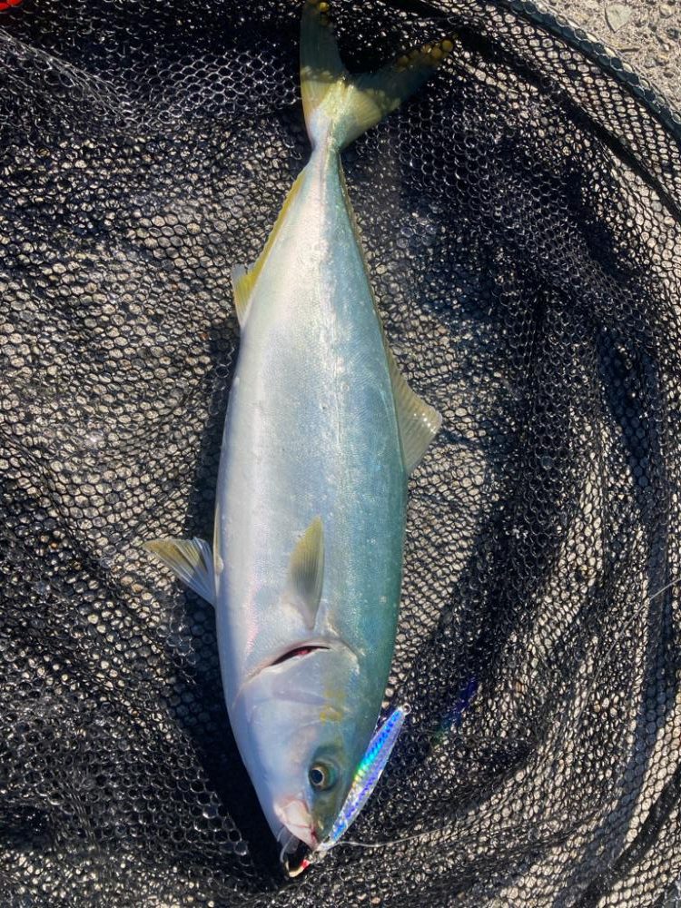 2023ライトゲーム第38戦