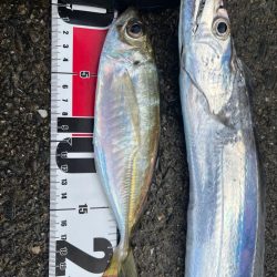 あと少しでドラゴン