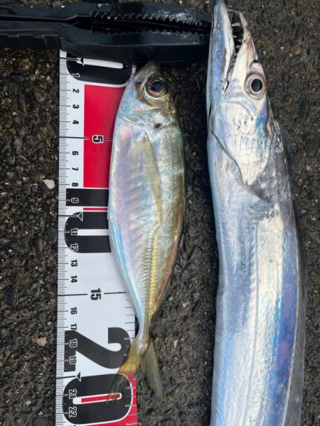 あと少しでドラゴン