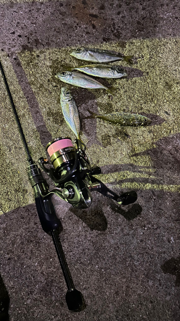 明石へアジング