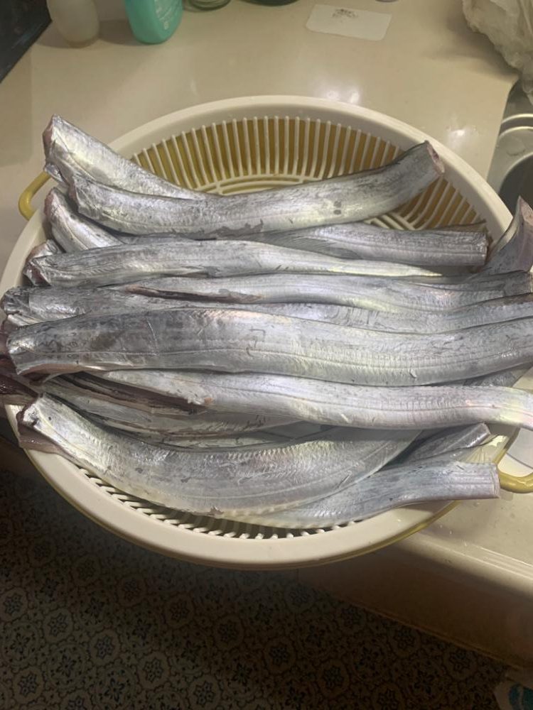 タチウオ 爆発!