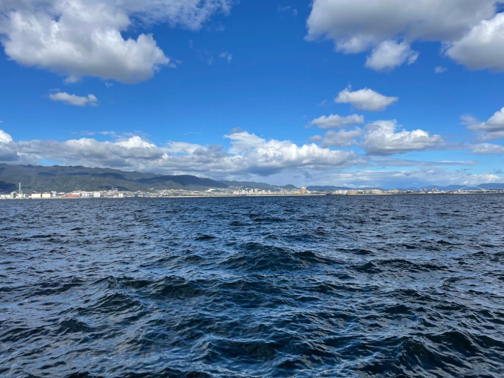 メジロ・サゴシ