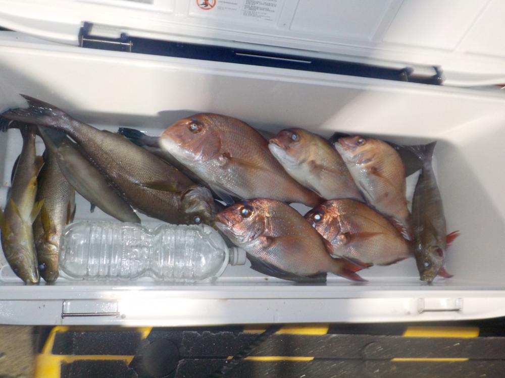 完全フカセ第2 戦→初天秤フカセ　〜倉丸〜