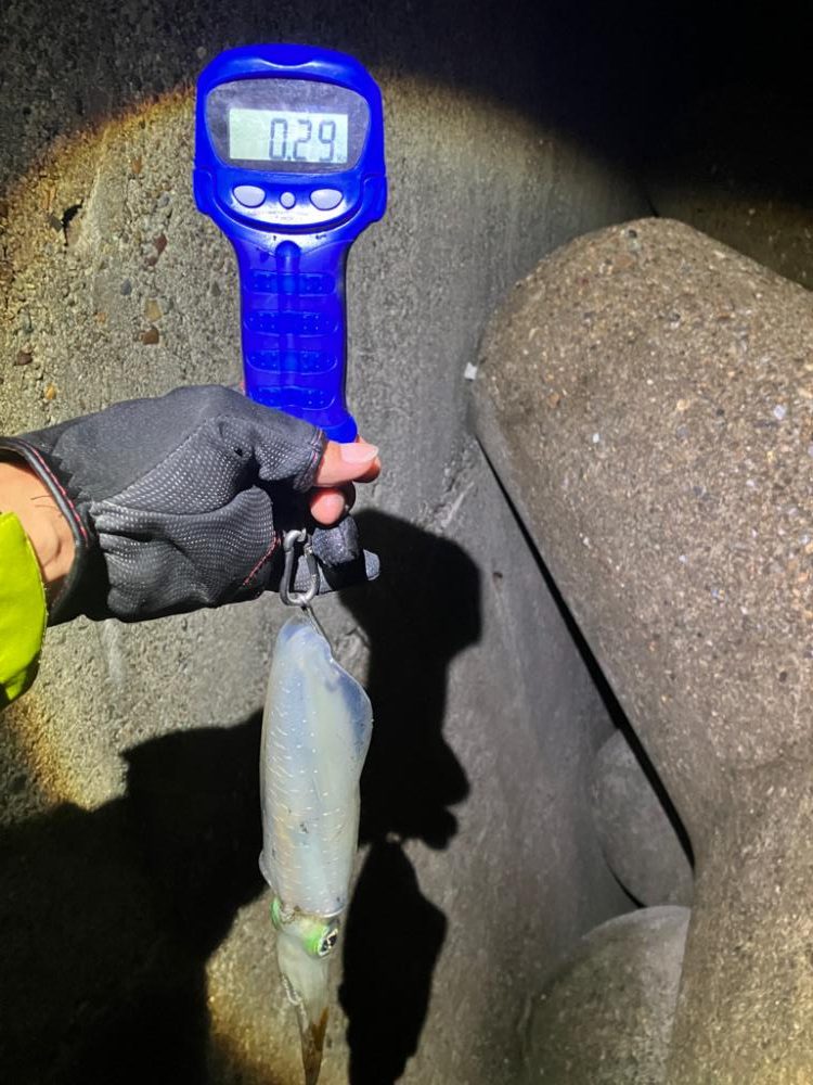 爆風、うねりの中ナイトエギングσ(^_^;)