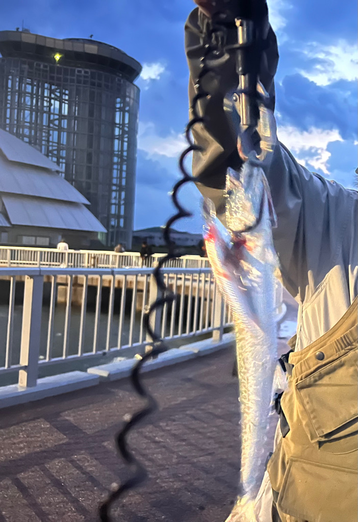 巨大ナブラ後暴風雨