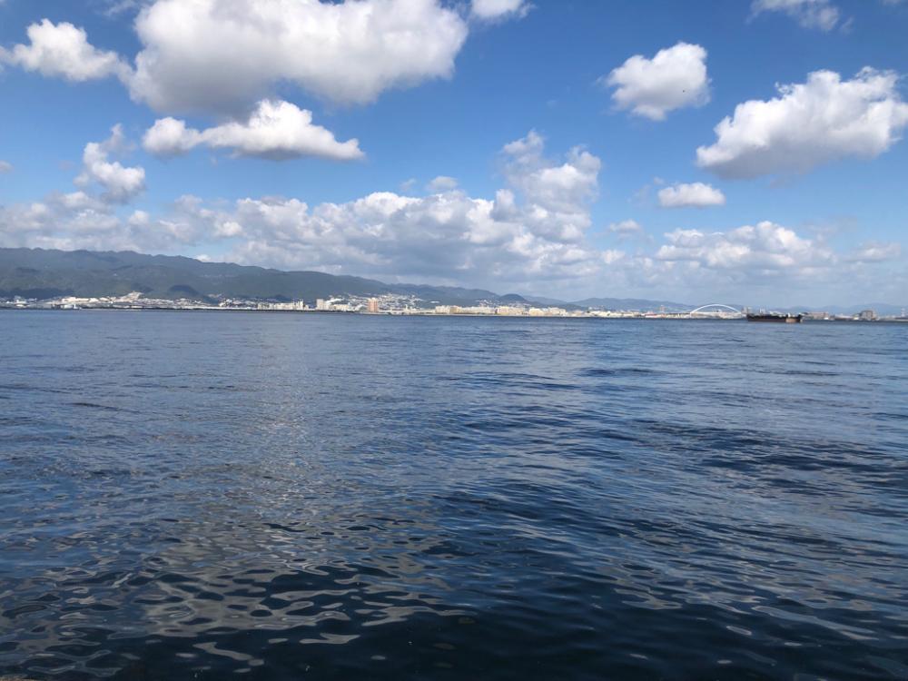 yellow tailは釣れずも魚種多彩！