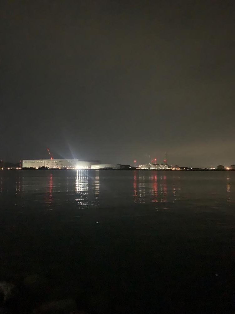 アオモノツリタイ