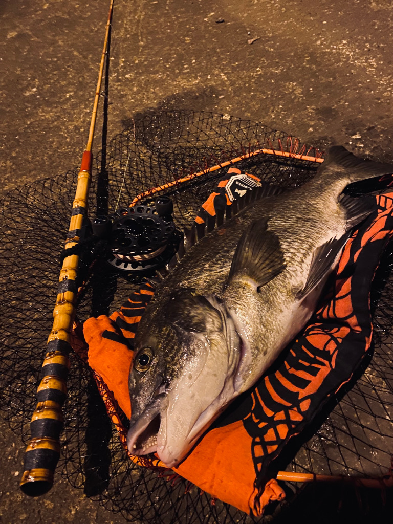 ヘチってきました