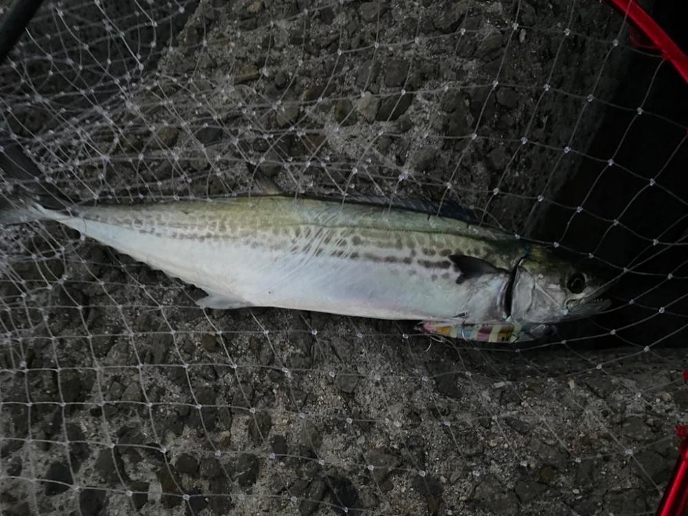 キャンディグローストライプ