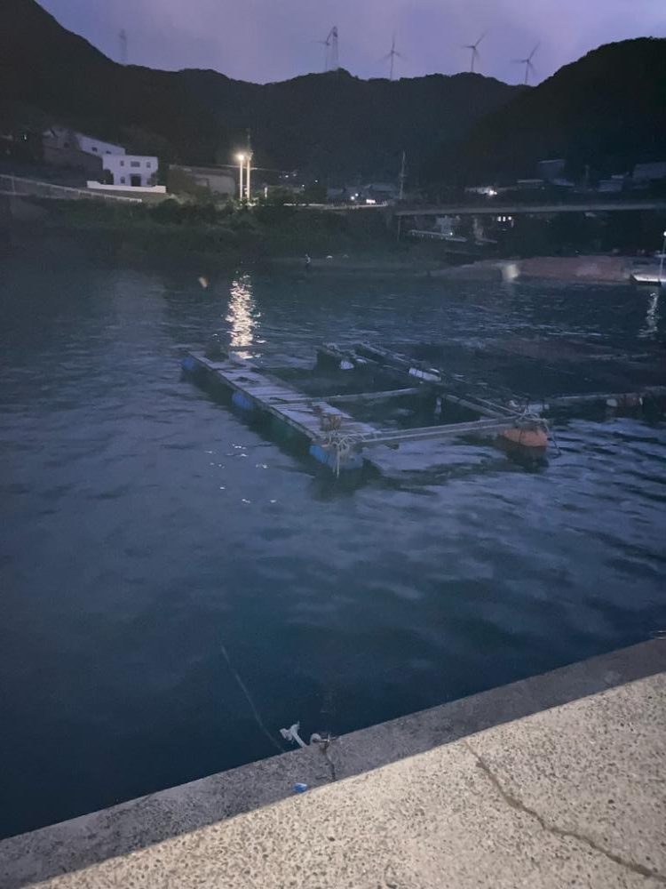 秋イカ!サイズアップ!