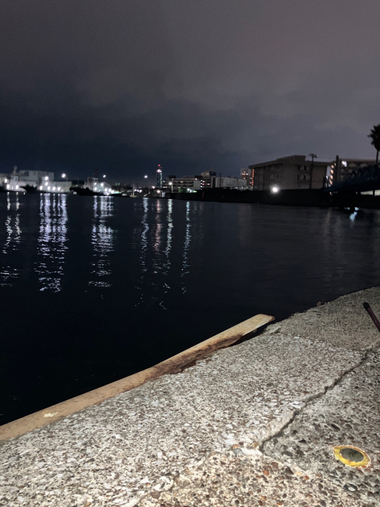 秋シーバスがスタートか？