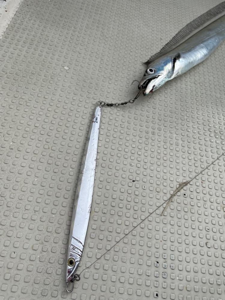 明石のジギング