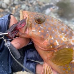 釣り方がダメなのか？