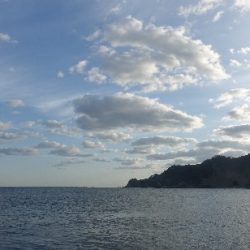 神無月のはじまりは青箭魚（さごし）から始まる