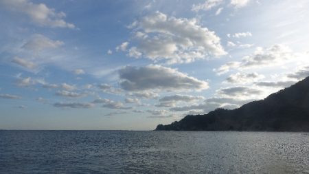 神無月のはじまりは青箭魚（さごし）から始まる