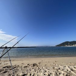 良型のカワハギが沢山釣れました