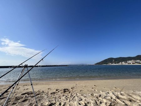 良型のカワハギが沢山釣れました