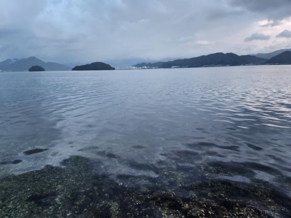 久しぶりのヤツに出会えました