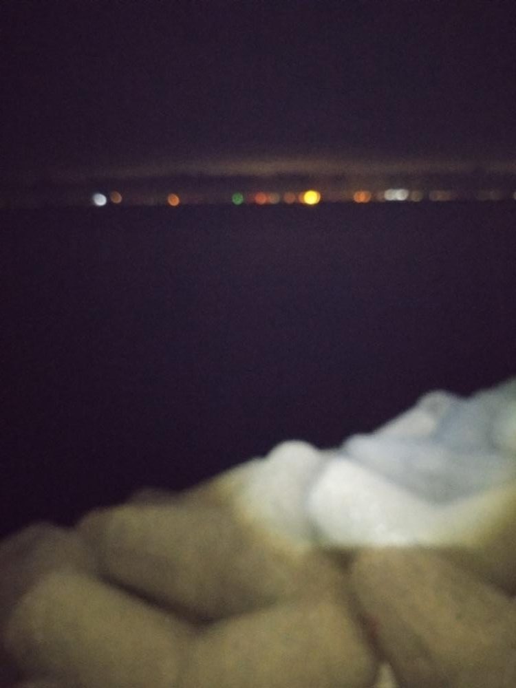 久々に電気ウキで癒やされた