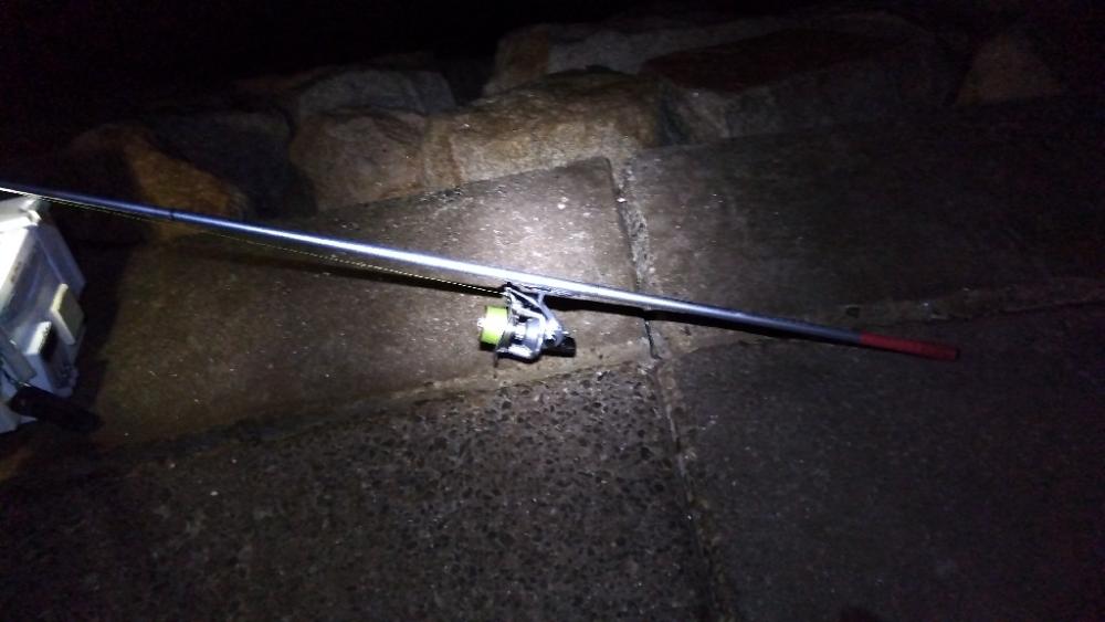 苅屋海岸のキス釣り